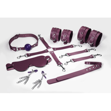 Набір Feral Feelings BDSM Kit 7 Burgundy, наручники, поножі, конектор, маска, падл, кляп, затискачі – купити