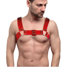 Чоловіча портупея на груди Feral Feelings - Bulldog Harness Red Trasparent